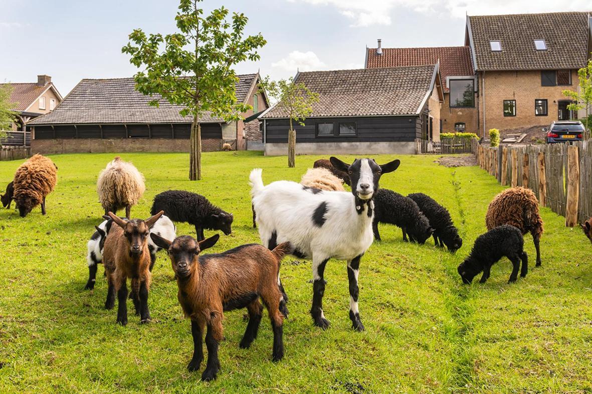 Vakantiehuisje In De Polder Oud-Alblas Exterior foto